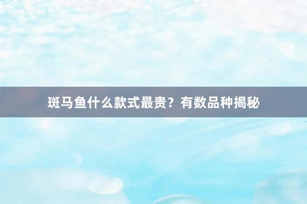 斑马鱼什么款式最贵？有数品种揭秘